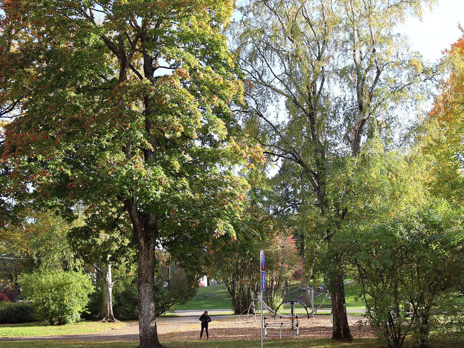 Hostel Louna Pärnu Buitenkant foto